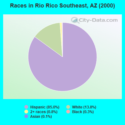 Races in Rio Rico Southeast, AZ (2000)