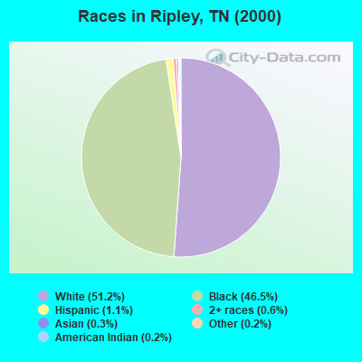 Races in Ripley, TN (2000)