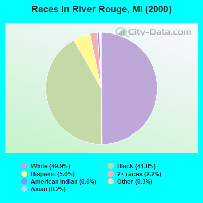 Races in River Rouge, MI (2000)