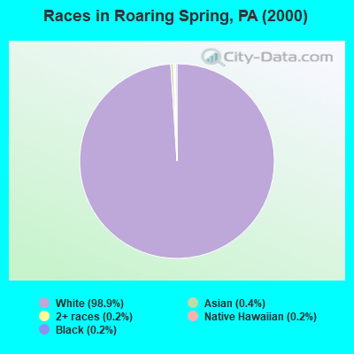 Races in Roaring Spring, PA (2000)