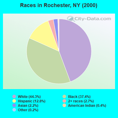 Races in Rochester, NY (2000)