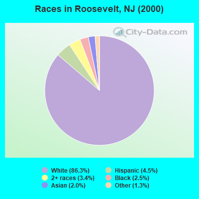 Races in Roosevelt, NJ (2000)