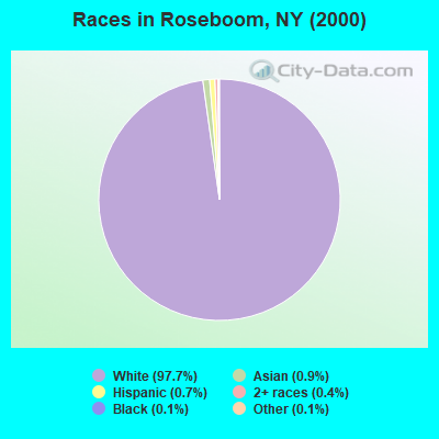 Races in Roseboom, NY (2000)