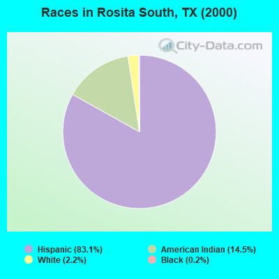 Races in Rosita South, TX (2000)