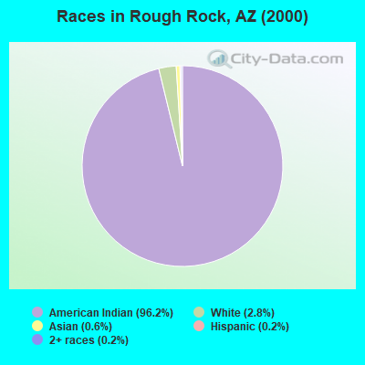 Races in Rough Rock, AZ (2000)