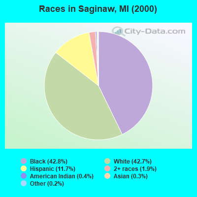 Races in Saginaw, MI (2000)