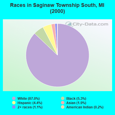 Races in Saginaw Township South, MI (2000)