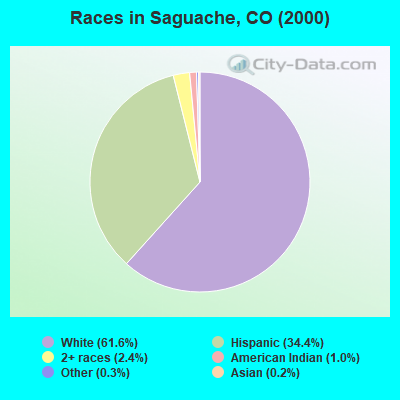 Races in Saguache, CO (2000)