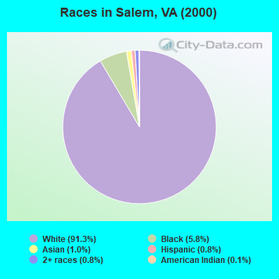 Races in Salem, VA (2000)