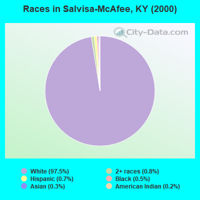 Races in Salvisa-McAfee, KY (2000)