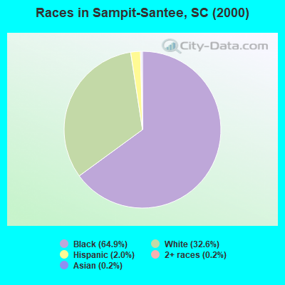 Races in Sampit-Santee, SC (2000)