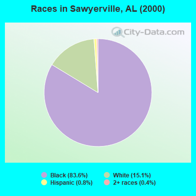 Races in Sawyerville, AL (2000)