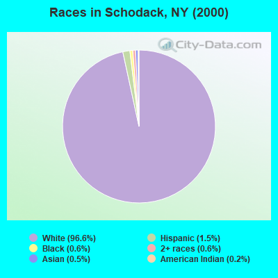Races in Schodack, NY (2000)
