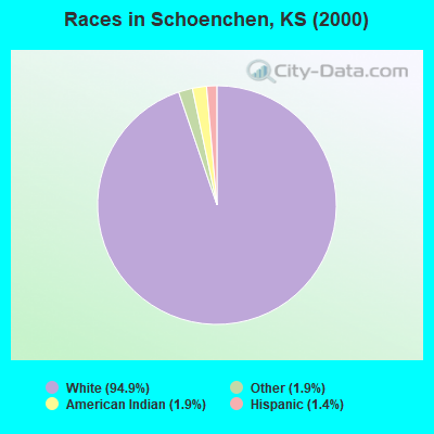 Races in Schoenchen, KS (2000)