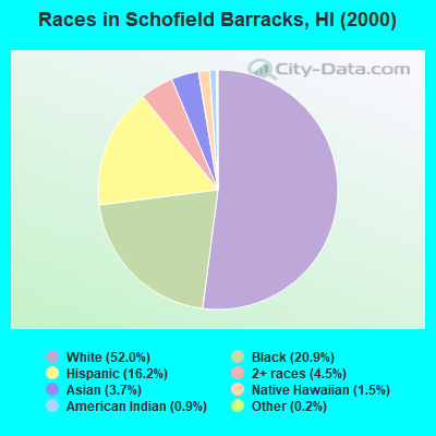 Races in Schofield Barracks, HI (2000)