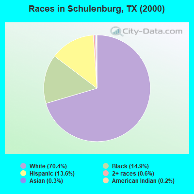 Races in Schulenburg, TX (2000)