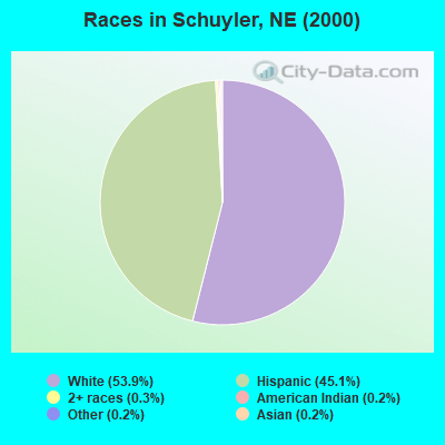 Races in Schuyler, NE (2000)