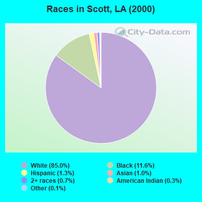 Races in Scott, LA (2000)