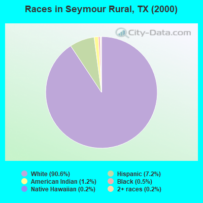 Races in Seymour Rural, TX (2000)