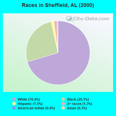 Races in Sheffield, AL (2000)