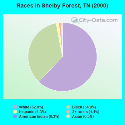 Races in Shelby Forest, TN (2000)