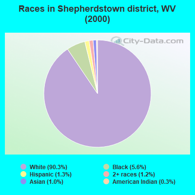Races in Shepherdstown district, WV (2000)