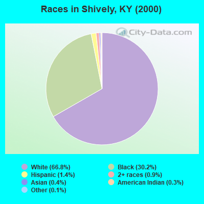 Races in Shively, KY (2000)