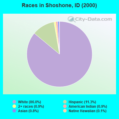Races in Shoshone, ID (2000)