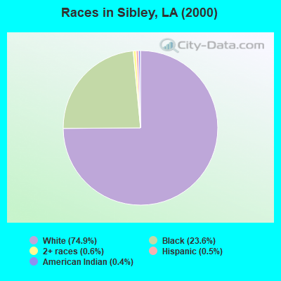 Races in Sibley, LA (2000)