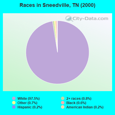 Races in Sneedville, TN (2000)