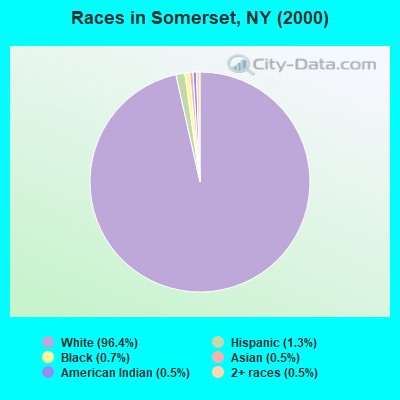 Races in Somerset, NY (2000)