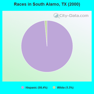 Races in South Alamo, TX (2000)