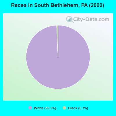 Races in South Bethlehem, PA (2000)