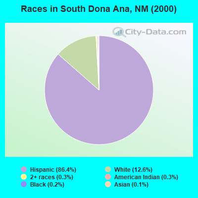 Races in South Dona Ana, NM (2000)
