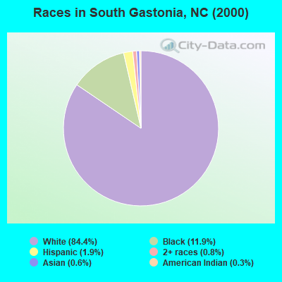 Races in South Gastonia, NC (2000)