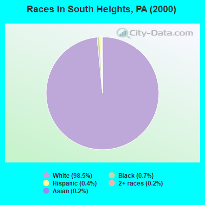 Races in South Heights, PA (2000)