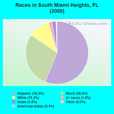 Races in South Miami Heights, FL (2000)