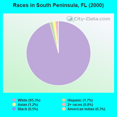 Races in South Peninsula, FL (2000)