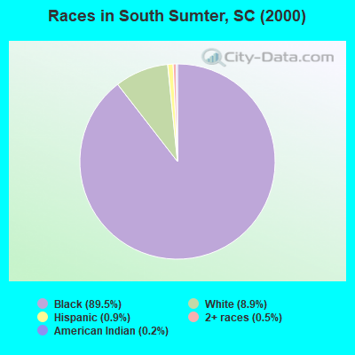 Races in South Sumter, SC (2000)