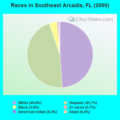 Races in Southeast Arcadia, FL (2000)