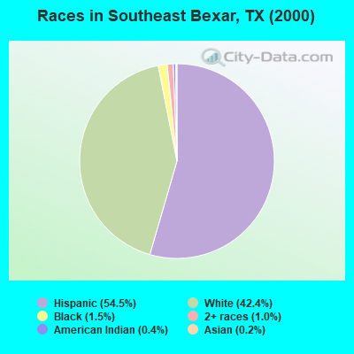 Races in Southeast Bexar, TX (2000)