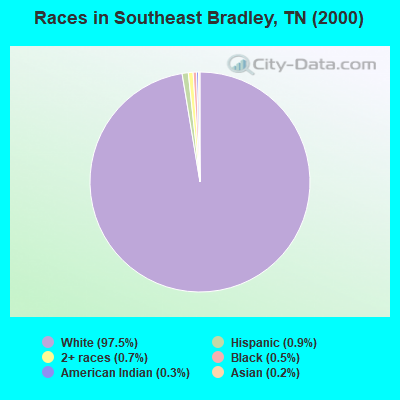 Races in Southeast Bradley, TN (2000)