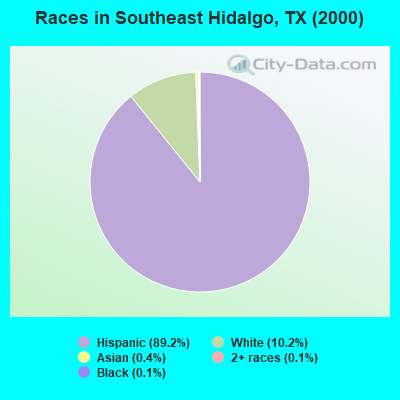 Races in Southeast Hidalgo, TX (2000)