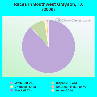 Races in Southwest Grayson, TX (2000)
