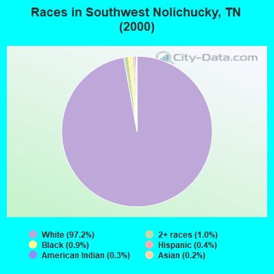 Races in Southwest Nolichucky, TN (2000)