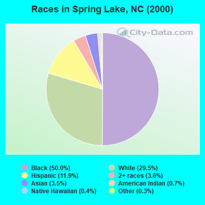 Races in Spring Lake, NC (2000)