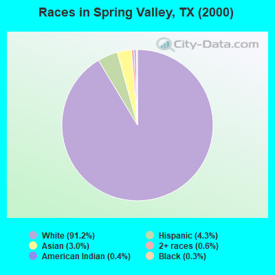Races in Spring Valley, TX (2000)