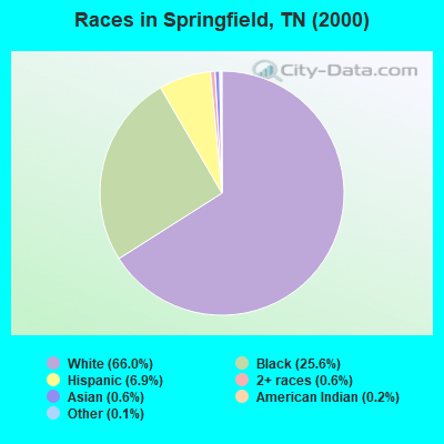 Races in Springfield, TN (2000)