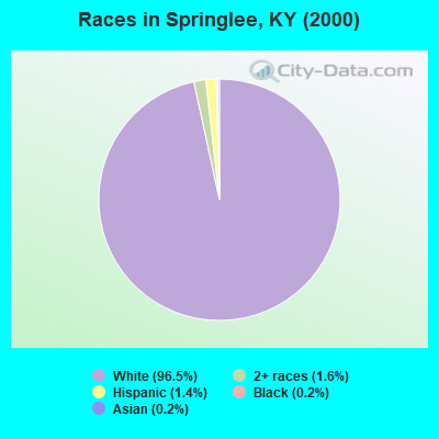 Races in Springlee, KY (2000)