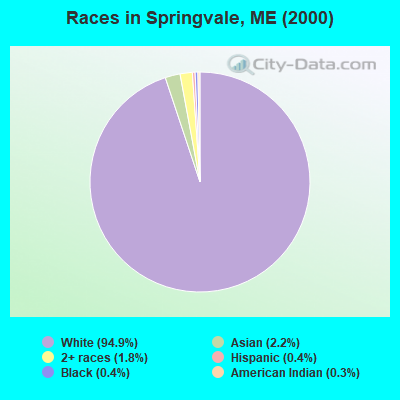 Races in Springvale, ME (2000)
